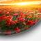 Designart - Beautiful Poppy Field at Sunset' Abstract Round Circle Metal Wall Art